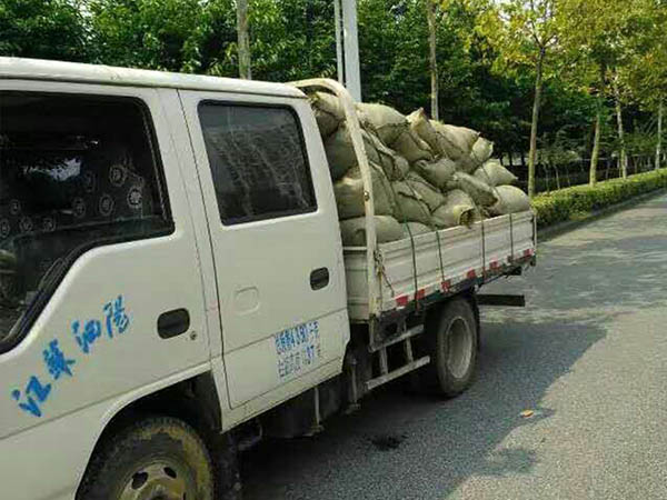 水草发货中
